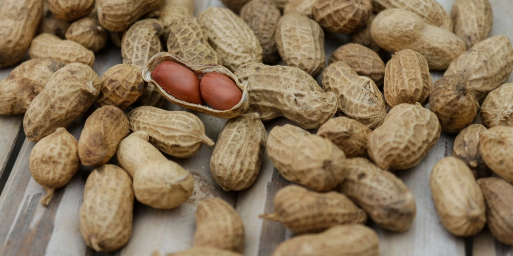 Orzech ziemny